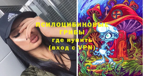 стафф Алексин