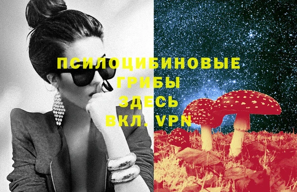 стафф Алексин