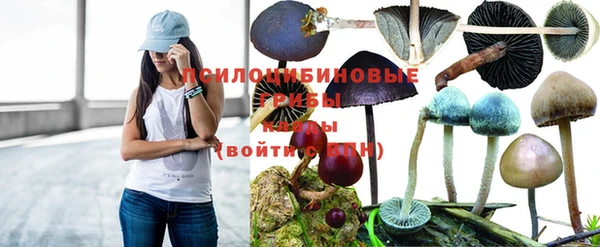 стафф Алексин