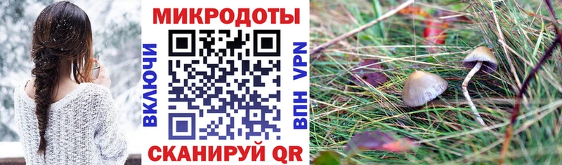 сайты даркнета состав  Слободской  Псилоцибиновые грибы Psilocybine cubensis 