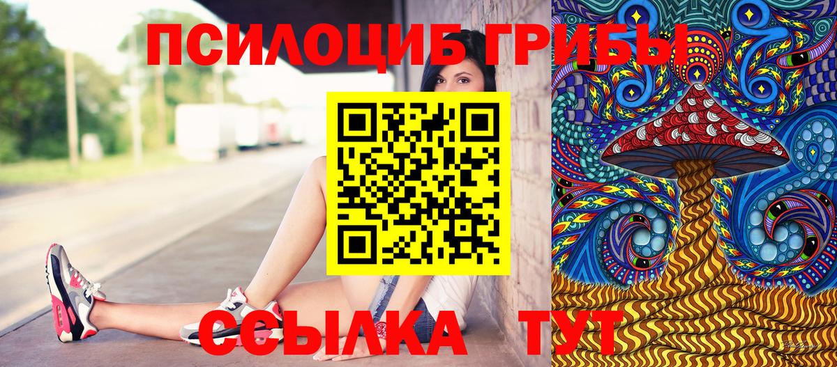 Слободской  Галлюциногенные грибы Cubensis  как найти   Вход с VPN 